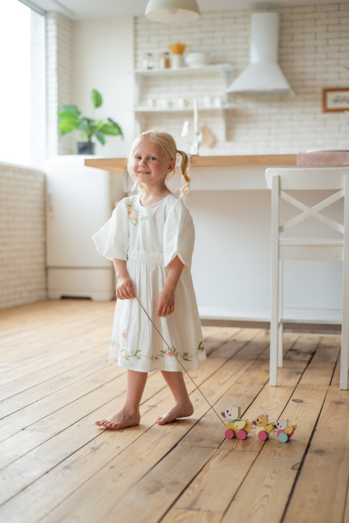 Walk-a-Long Traveling ducks 2